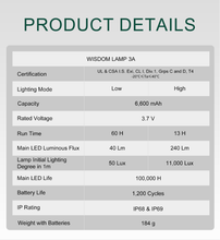 Load image into Gallery viewer, WISDOM 3A NEC500