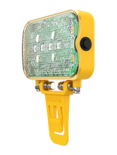 Load image into Gallery viewer, Wisdom Elf